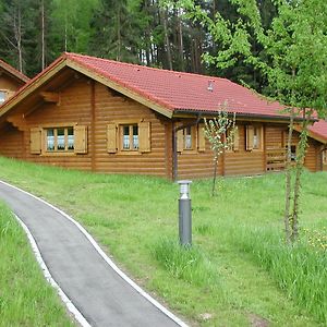 Blockhaus Bayerischer Wald Vila Stamsried Exterior photo