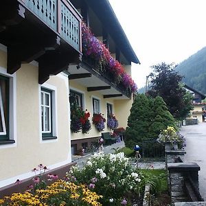 Peterwirt Hotel Bad Mitterndorf Exterior photo