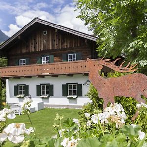 Forest Chalet, Secluded Location, 1,000 Sqm Garden, Mountainview, Panorama Sauna, Whirlpool, Bbq&Bikes&Sunbeds For Free, Up To 10 P Golling an der Salzach Exterior photo