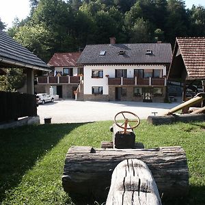 Pri Lazarju Farm Stay Podgrad  Exterior photo