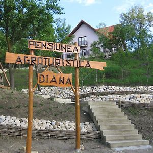 Pensiunea Agroturistica Diana Hotel Magura  Exterior photo