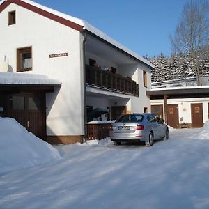 Haus Steinwaldblick Apartamento Bernlohe  Exterior photo