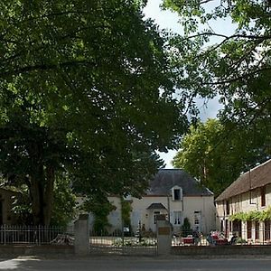 Château de la Frégeolière Acomodação com café da manhã Theillay Exterior photo