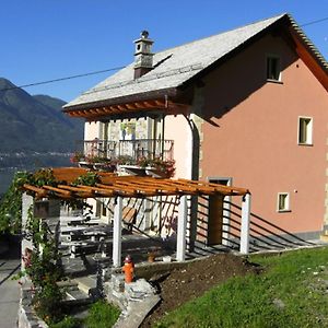 Agriturismo Cantina Carrara Apartamento Gordola Exterior photo