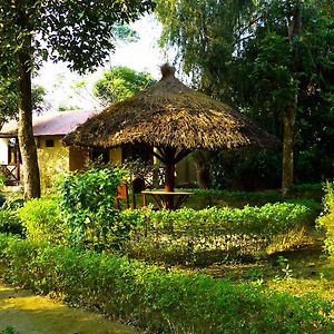 Nature Safari Resort Bardiyā Exterior photo