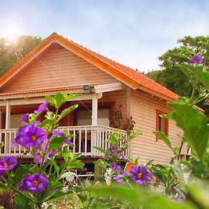 The Beautiful Cabins Vila Rosh Pinna Exterior photo