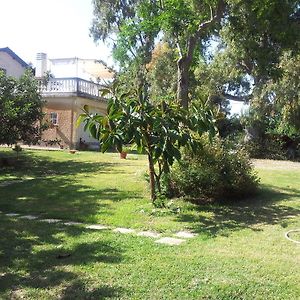 Agriturismo Il Casotto Vila Maida Room photo