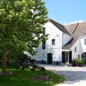 Edvy Malom Fogadó Barokk Udvarház Hotel Pápa Exterior photo