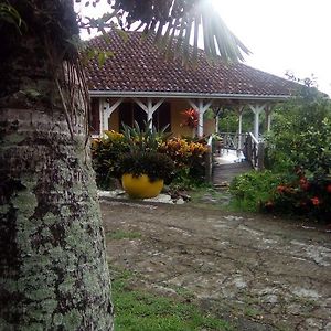 Villa Cacao Riviere-Salee Exterior photo