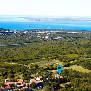 Terra Del Carso Vila San Pelagio Exterior photo