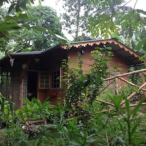 Casa Ediana Vila Trindade Exterior photo