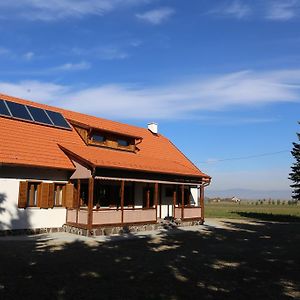 Ezüstfenyő Agroturisztikai Panzió Hotel Borzont Exterior photo