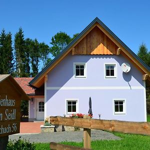 Haus Karin Seidl Vila Neumarkt in Steiermark Exterior photo