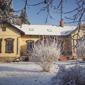 Apartments Šimákova Vila Turnov Exterior photo