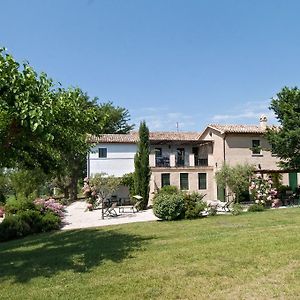 Vigna Sant' Amico Country House Apartamento Morro dʼAlba Exterior photo