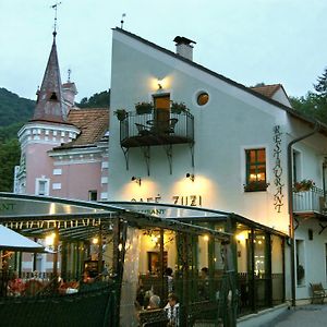 Penzión Zuzi Hotel Trenčianske Teplice Exterior photo