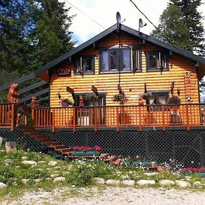 Mount Robson Mountain River Lodge Exterior photo