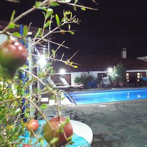 The Pomegranate'S House Vila Ephtagonia Exterior photo