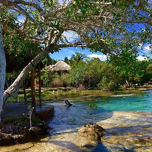 Casa Caracol Hotel Bacalar Exterior photo