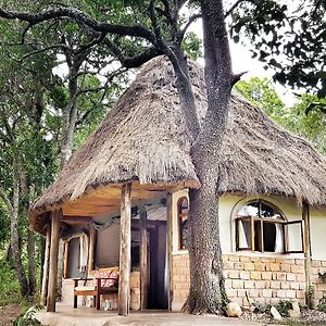 House In The Wild Casa de hóspedes Maasai Mara Exterior photo