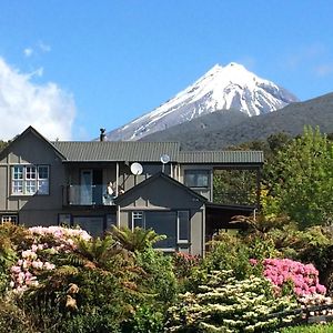 Georges Bnb Nature And Lifestyle Retreat Apartamento New Plymouth Exterior photo