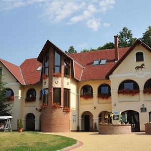 Brauer Panzió Casa de hóspedes Mecseknádasd Exterior photo