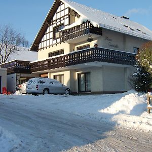 Haus Cristallo Apartamento Olsberg Exterior photo