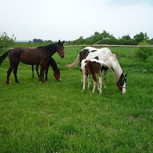 Agroturystyka Pod Rumakiem Vila Chęciny Exterior photo