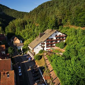 Hotel Die Kleine Blume Erfweiler Exterior photo