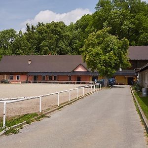 Penzion Hradisko Vila Rožnov pod Radhoštěm Exterior photo