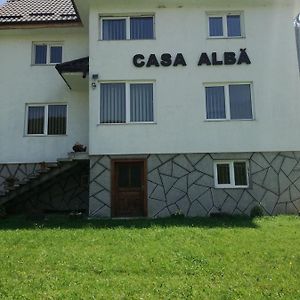 Casa Alba Vila Fundata Exterior photo