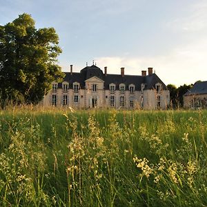 Chateau La Touanne Loire Valley Acomodação com café da manhã Baccon Exterior photo