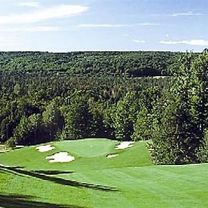 Treetops Resort Gaylord Exterior photo