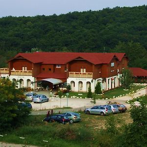 Pollushof Panzió és Étterem Acomodação com café da manhã Csolnok Exterior photo