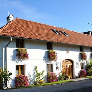 Vitalhof Roithinger Apartamento Grieskirchen Exterior photo