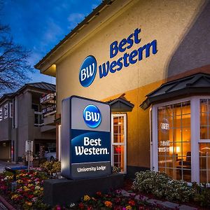 Best Western University Lodge Davis Exterior photo