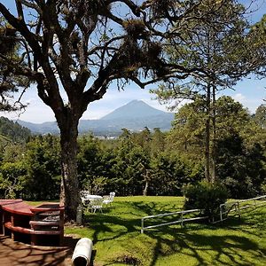 Bosque Macadamia Acomodação com café da manhã El Tejar Exterior photo