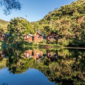 Suenos Del Bosque Lodge San Gerardo de Dota Exterior photo