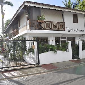 Hotel Piedra Marron Las Terrenas Exterior photo