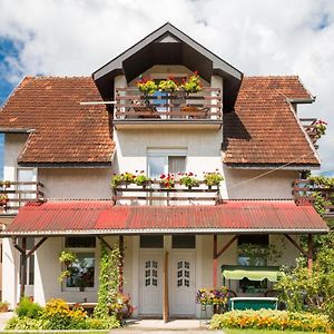 Drina - Bajina Basta Hotel Exterior photo