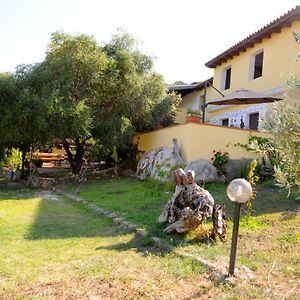 Agriturismo Sa Inza Vila Torpè Exterior photo