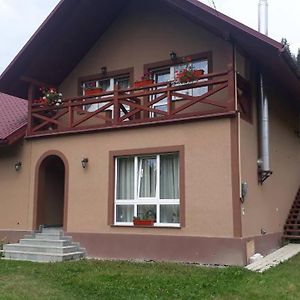 Садиба У Насті Apartamento Nizhniy Studenyy Exterior photo