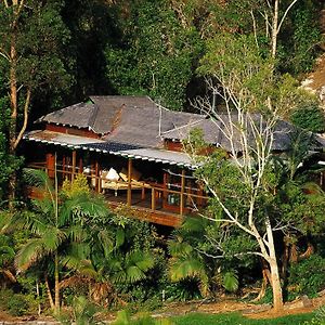 Wollumbin Palms Rainforest Retreat Vila Uki Exterior photo