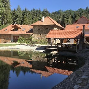 Zevluv Mlyn Hotel Nové Hrady Exterior photo