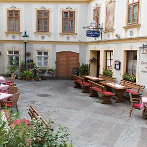 Gasthof Mang Acomodação com café da manhã Ybbs an der Donau Exterior photo
