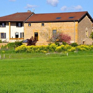 Le Clos Du Cher En Beaujolais Acomodação com café da manhã Saint-Germain-Nuelles Exterior photo