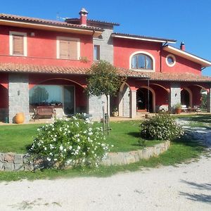 Agriturismo Casal Grande Vila Canepina Exterior photo