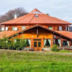 Pensiunea Casa Zmeilor Hotel Dragus Exterior photo