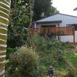 Bungalow On Bell Common Tauranga Exterior photo