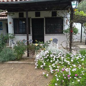 Persefoni House Vila Afissos Exterior photo